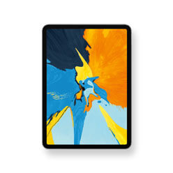 iPad Pro 11 inch (2018) Netwerk reparatie