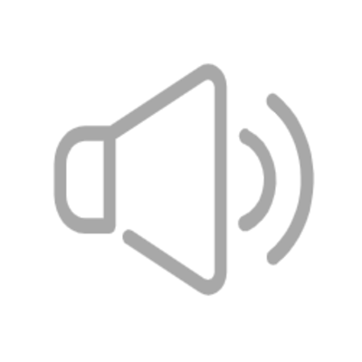 iPhone Speaker Apeldoorn