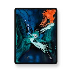 iPad Pro 12,9 inch (2018) Waterschade reiniging
